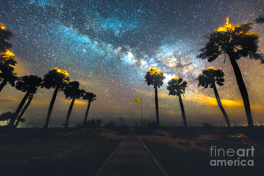 A Path to the Milky Way Photograph by Robert Loe