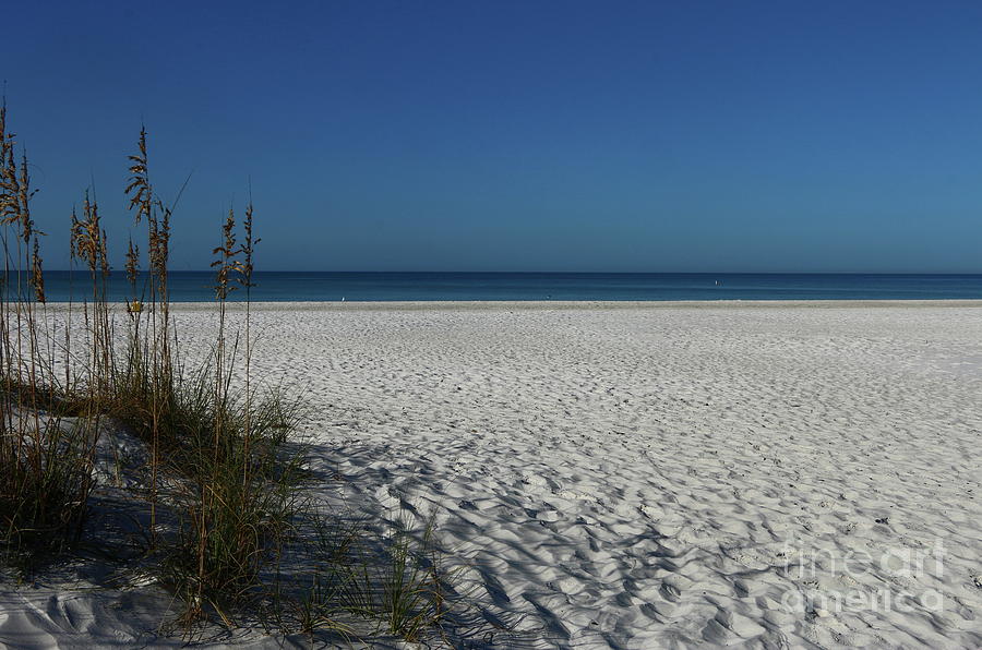 A Peaceful Day At A Marvelous Gulf Shore Beach Photograph by Christiane Schulze Art And Photography