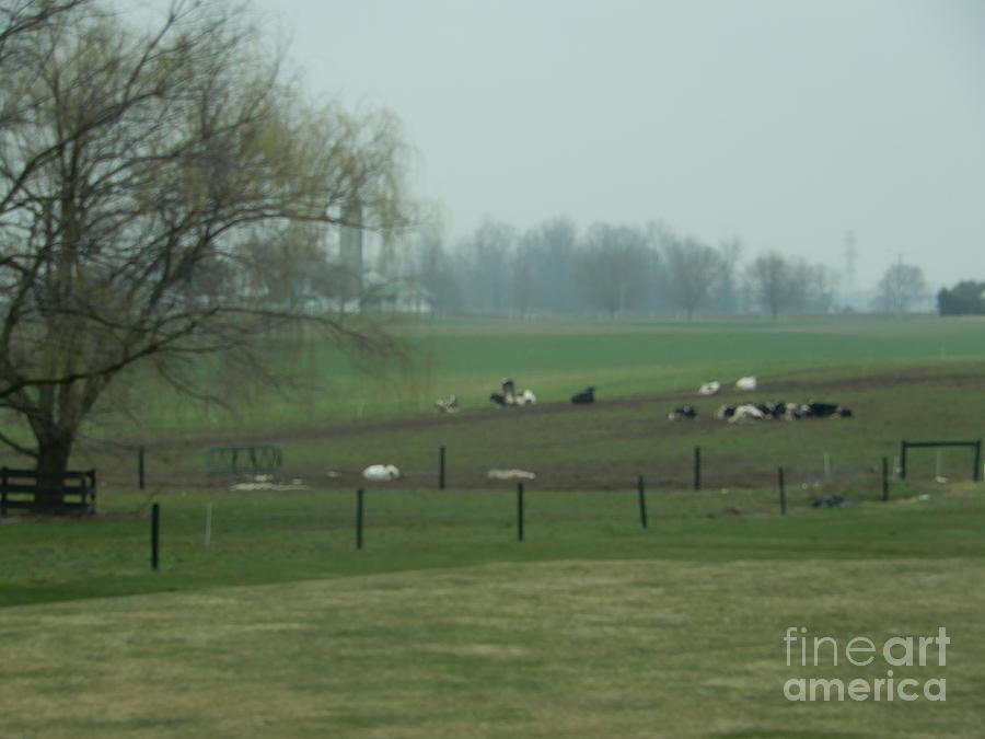 A Peaceful Day on the Farm Photograph by Christine Clark