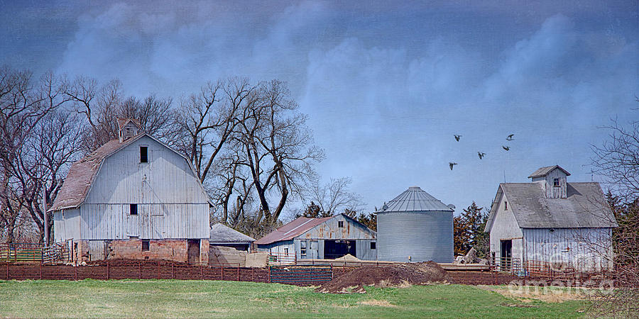 A Peaceful Nebraska Farm Photograph by Priscilla Burgers