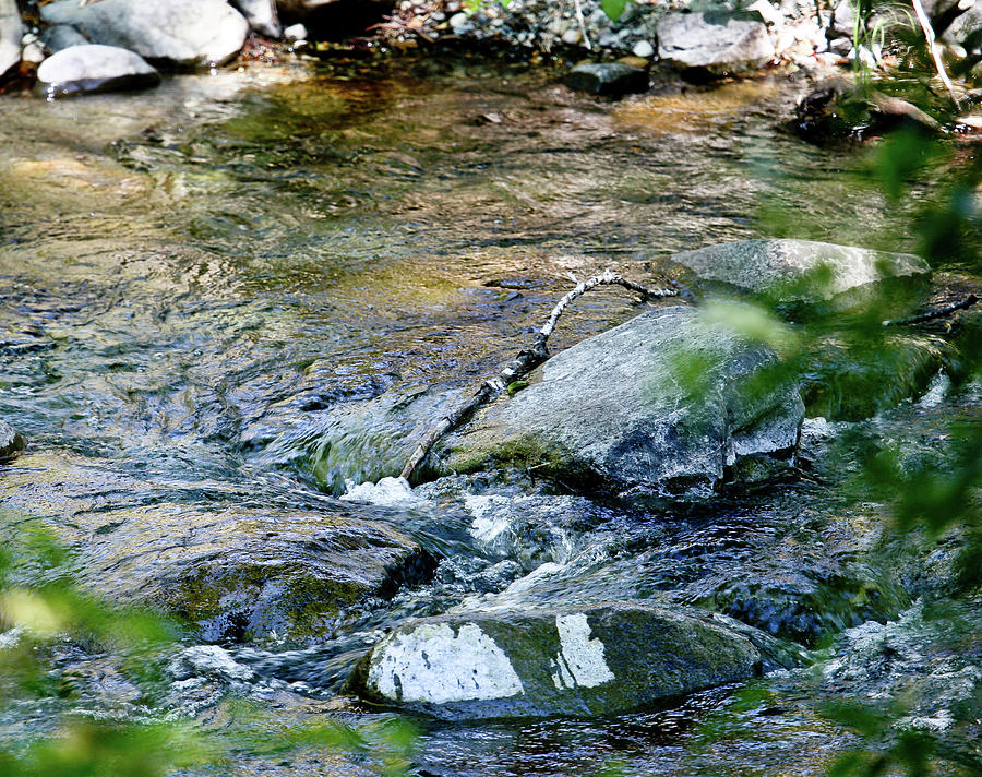 A Peaceful Pond Photograph by Liz Santie - Fine Art America