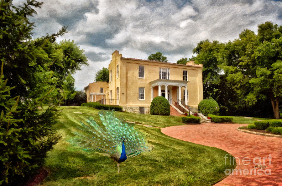 George Washington Photograph - A Peacock At Beallair by Lois Bryan
