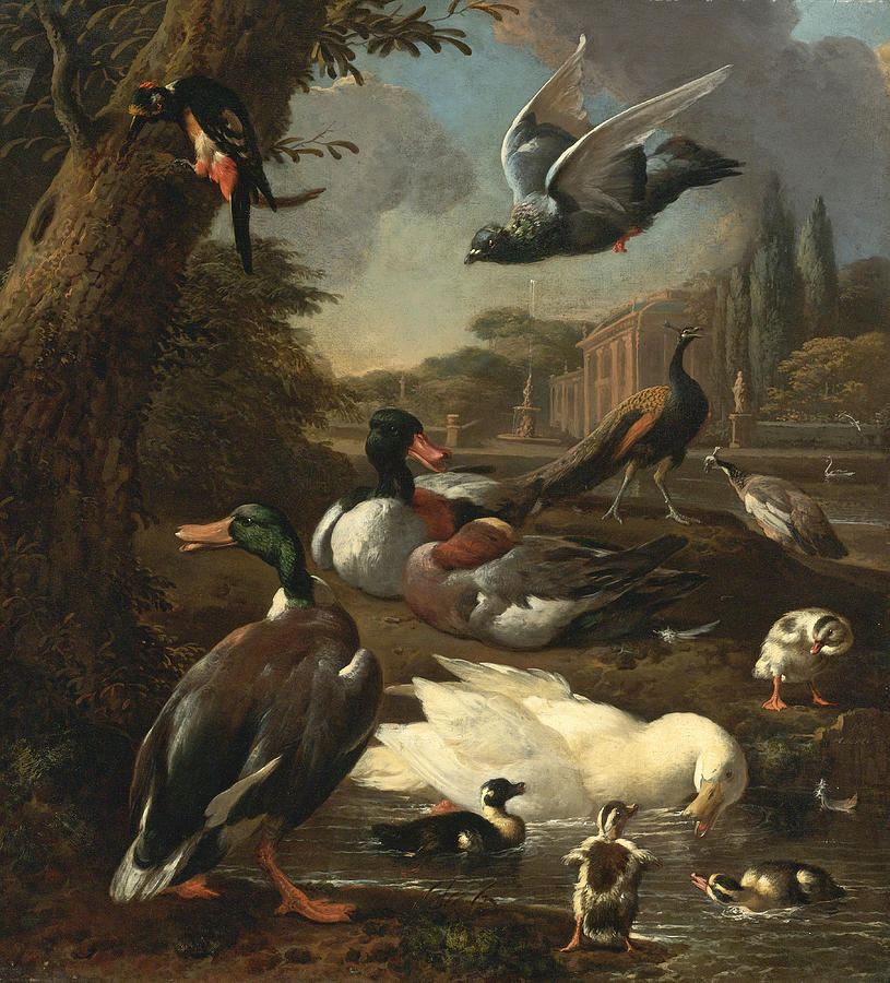 A Peacock Pigeon Ducks and other Birds in a Garden Setting Painting by Melchior dHondecoeter