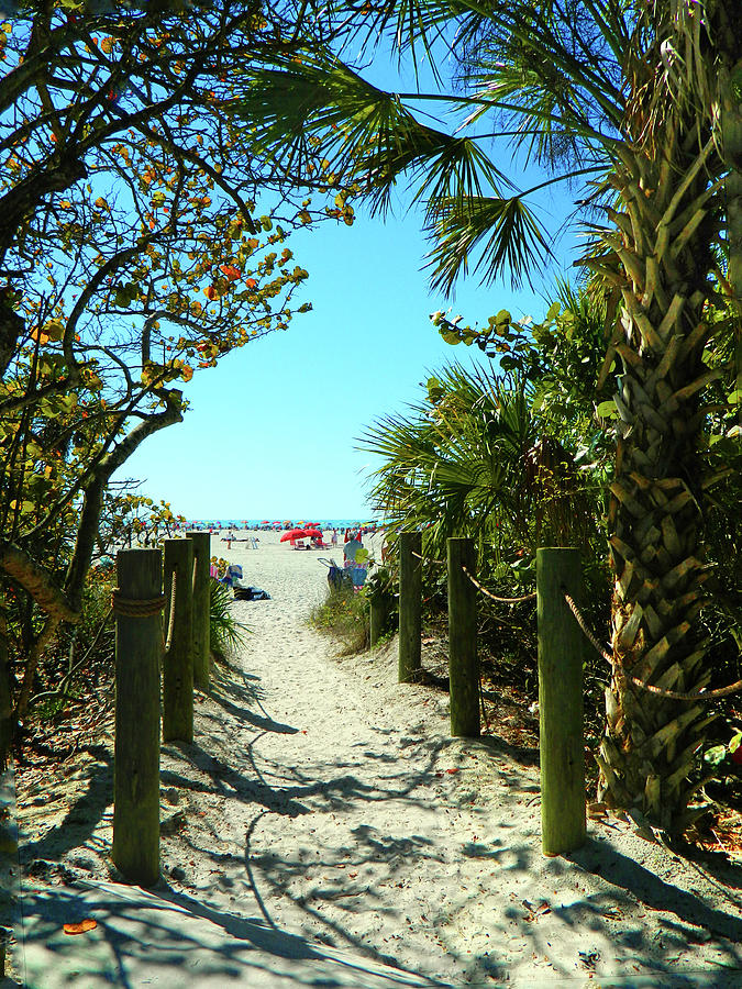 A Peak At Siesta Beach Photograph by Emmy Vickers