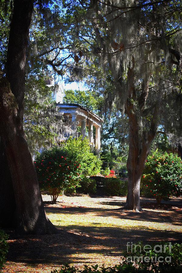 A Peak At The Plantation House Photograph by Skip Willits