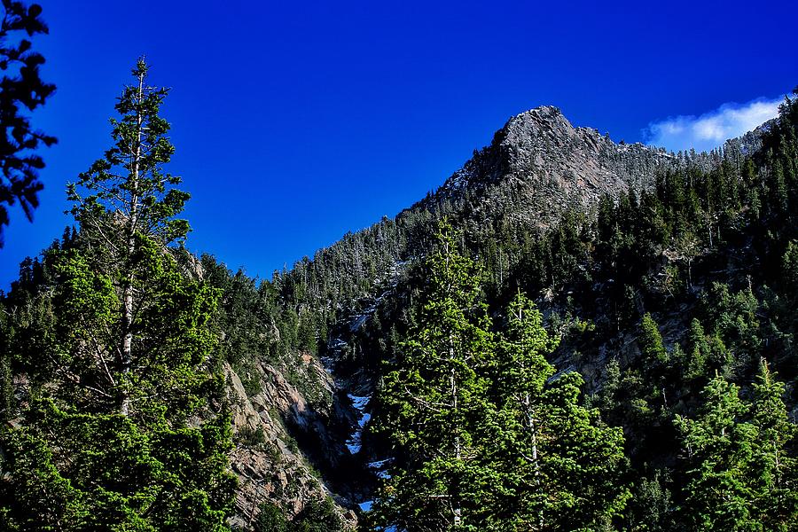 A Peak in the Trees  Photograph by Buck Buchanan