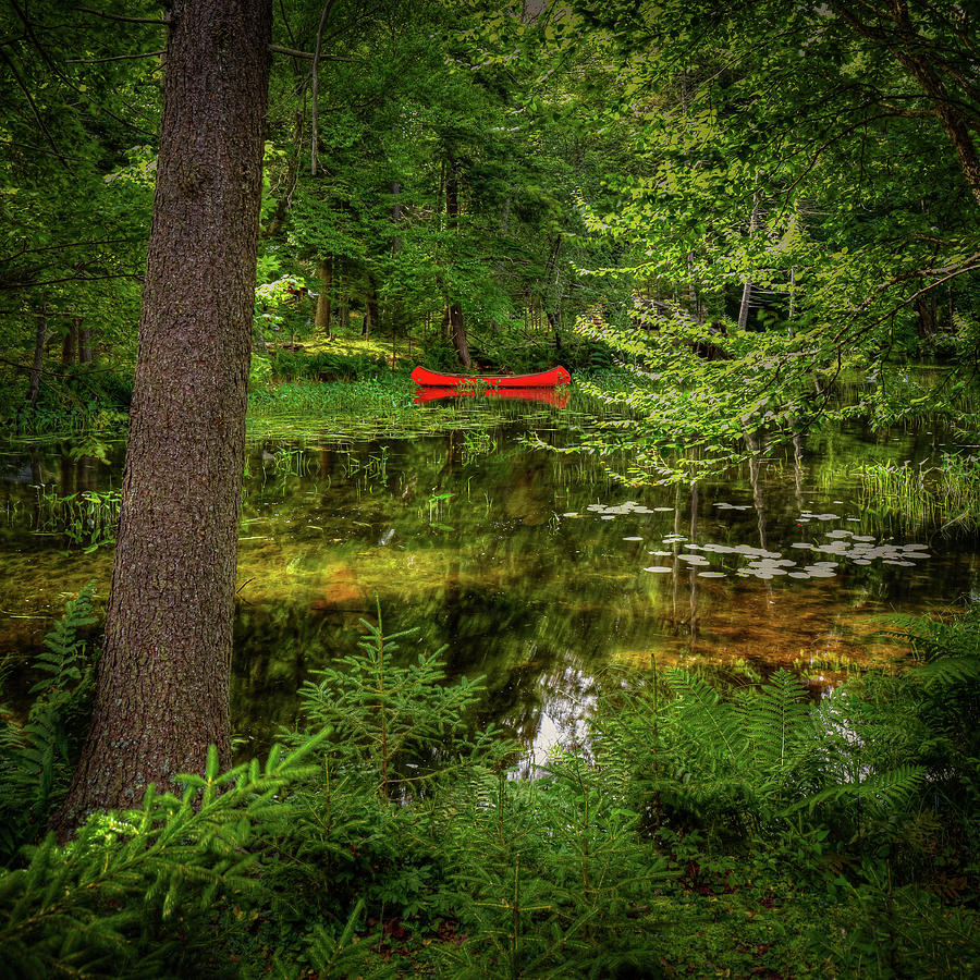 Landscape Photograph - A Peek at the Red Canoe by David Patterson