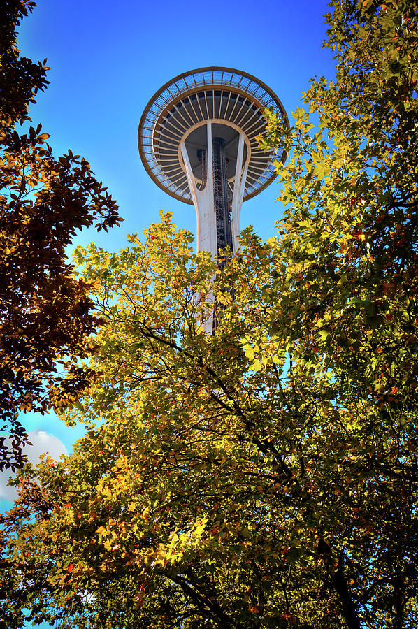 A Peek at the Space Needle Photograph by David Patterson