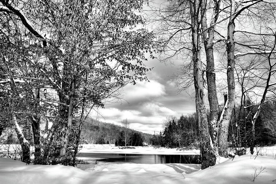 A Peek at Winter Photograph by David Patterson