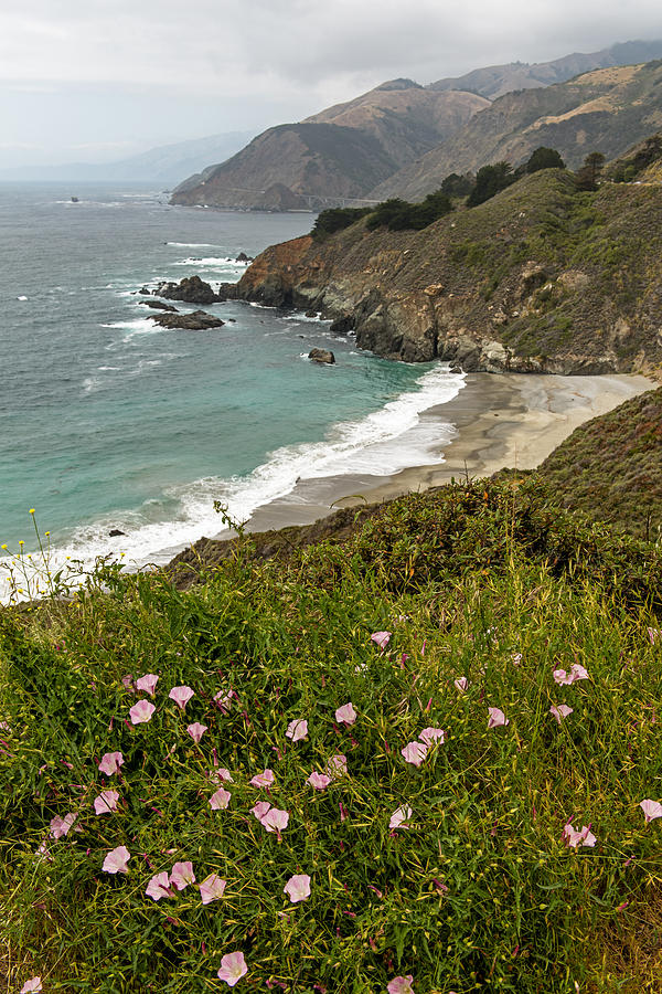 A Peek of California Pacific Coast Highway Photograph by Willie Harper