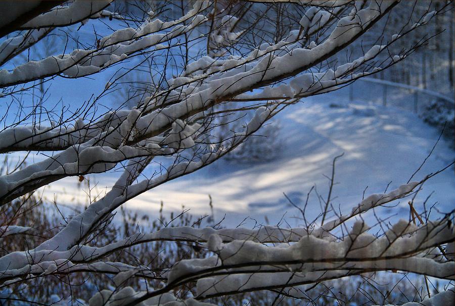 Winter Photograph - A Peek of Sun by Kathryn Meyer