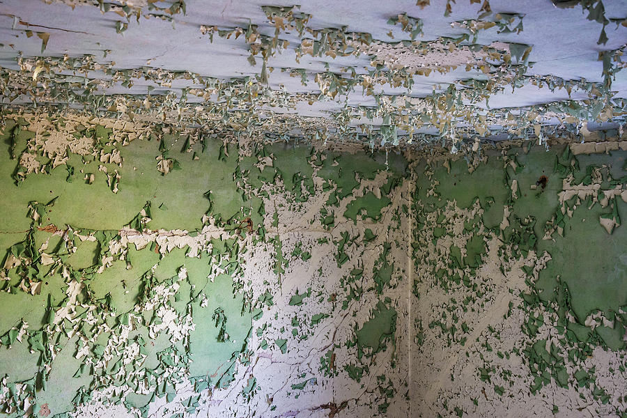 A Peeling Ceiling is not Appealing  Photograph by Peter Herman