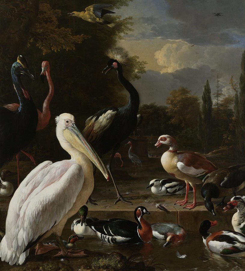 John James Audubon Painting - A Pelican and other Birds near a Pool by Melchior de Hondecoeter