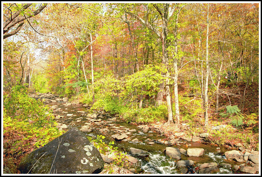 A Pennsylvania Stream in Autumn Photograph by A Macarthur Gurmankin