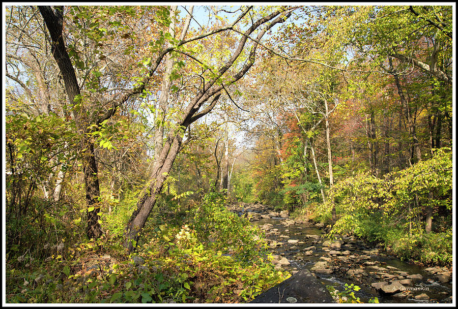 A Pennsylvania Stream in Fall Photograph by A Macarthur Gurmankin