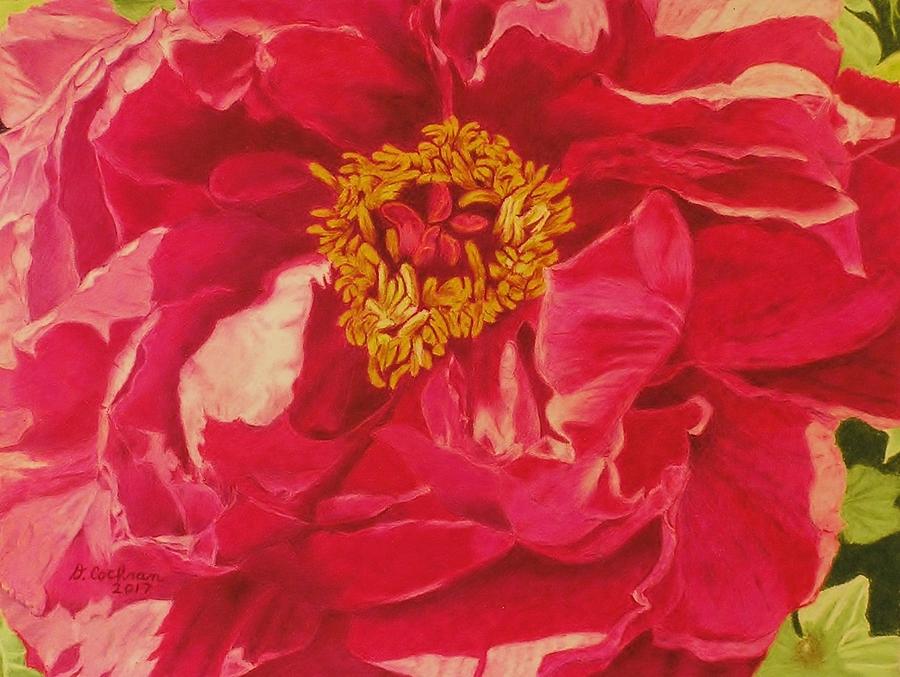 Flowers Still Life Drawing - A Peony For Your Thoughts by David Cochran