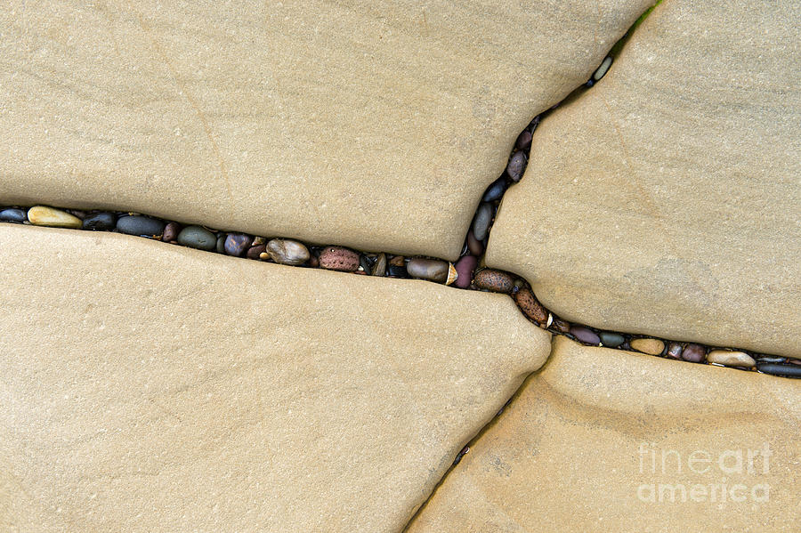 Pebbles Photograph - A Perfect Fit by Tim Gainey