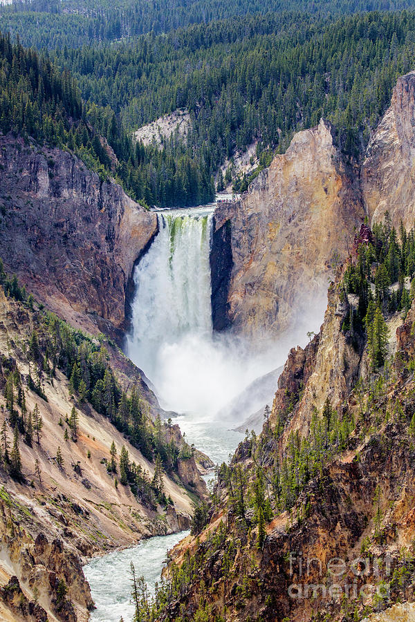 A Perfect Place Photograph by Carolyn Fox - Fine Art America