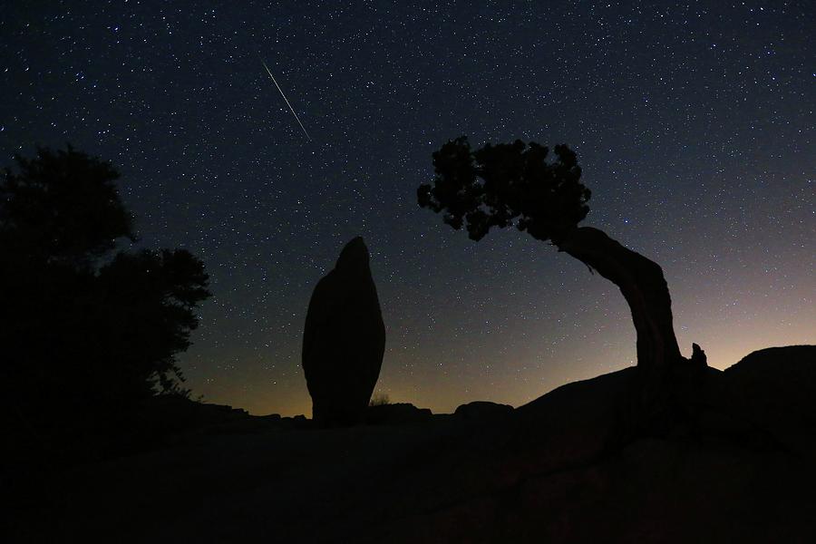 A Perseid Meteor over Lone Juniper and Balanced Rock Photograph by M C Hood