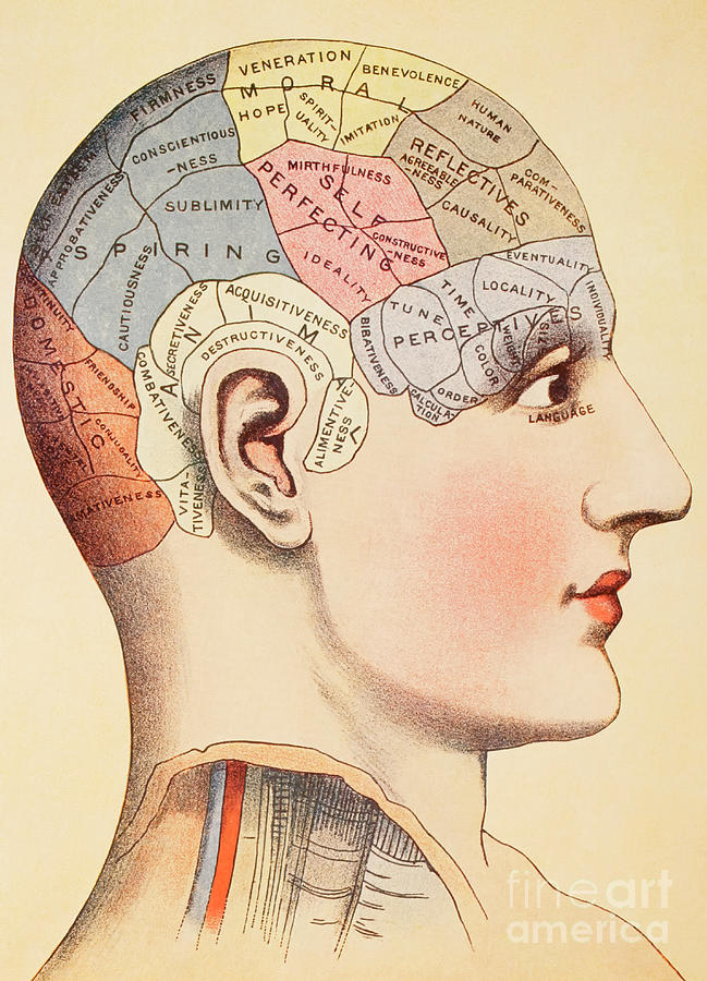human brain mapping wikipedia