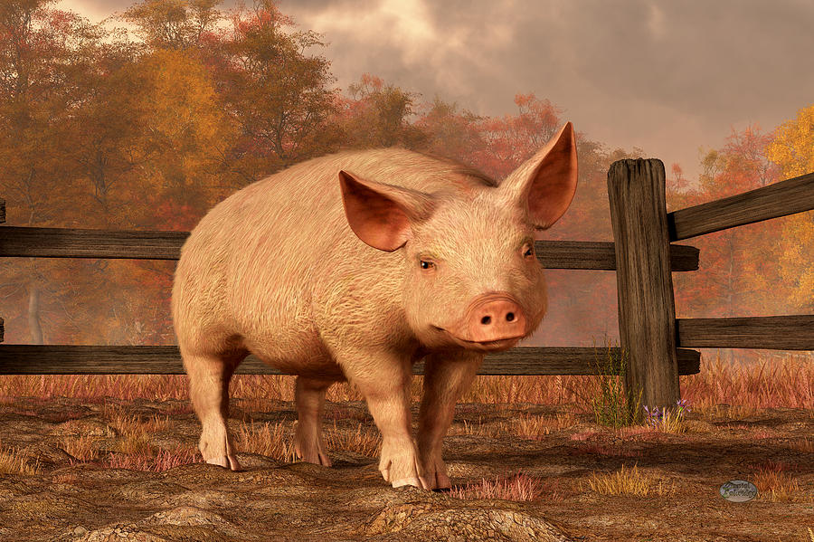 A Pig In Autumn Digital Art by Daniel Eskridge