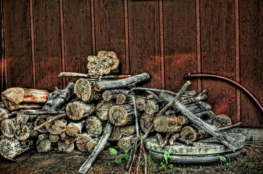 A Pile of Firewood  Photograph by Reynaldo Williams