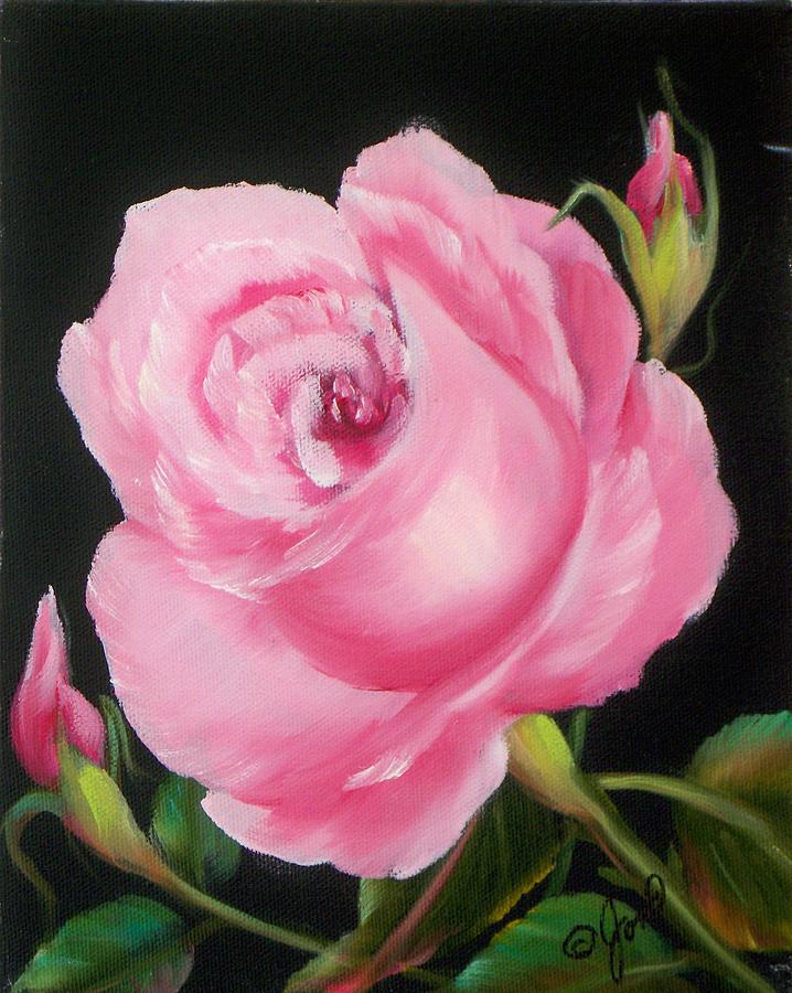 A Pink Rose Painting by Joni McPherson