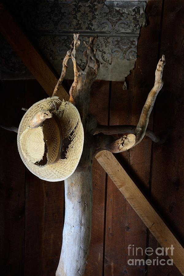 A Place to Hang Your Hat 5448 Photograph by Ken DePue