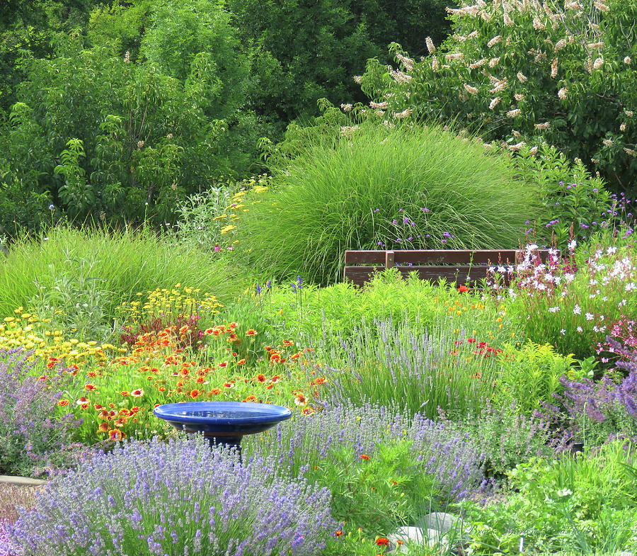 A Place to Ponder - Summer Garden Art - Garden Photography Photograph by Brooks Garten Hauschild