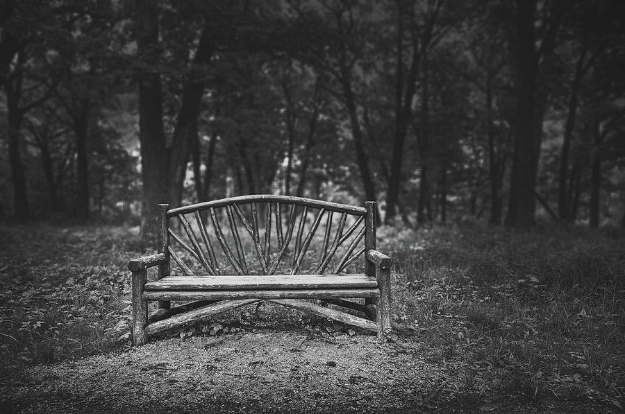 A Place To Sit 6 Photograph