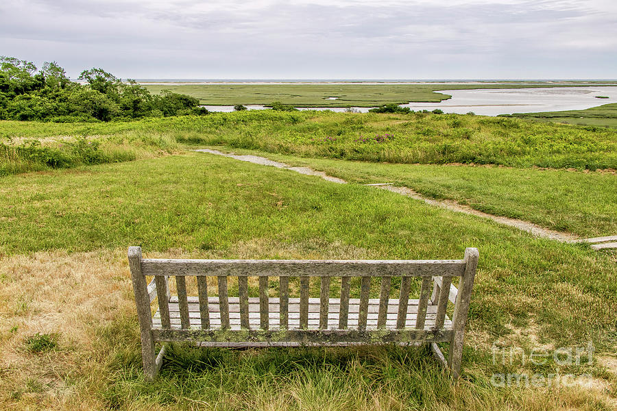 Across The Marsh Photograph