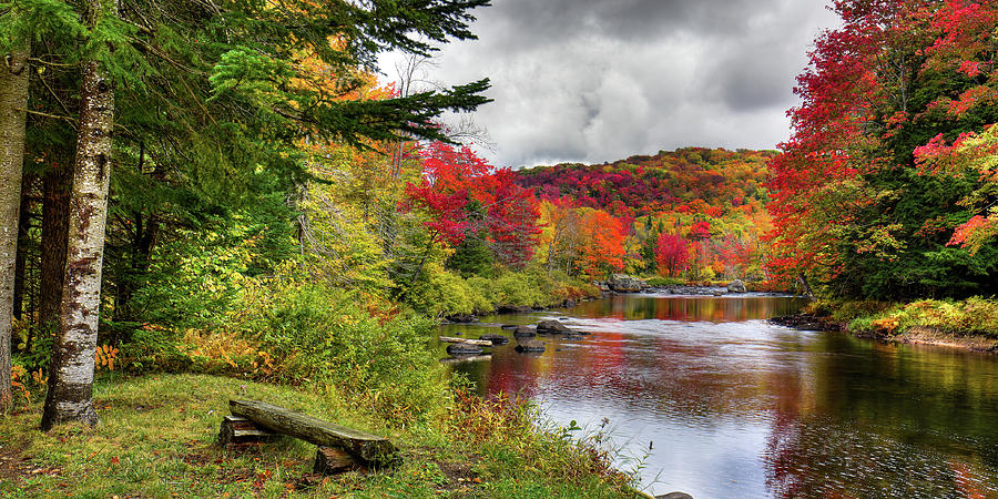 A Place to View Fall Color Photograph by David Patterson