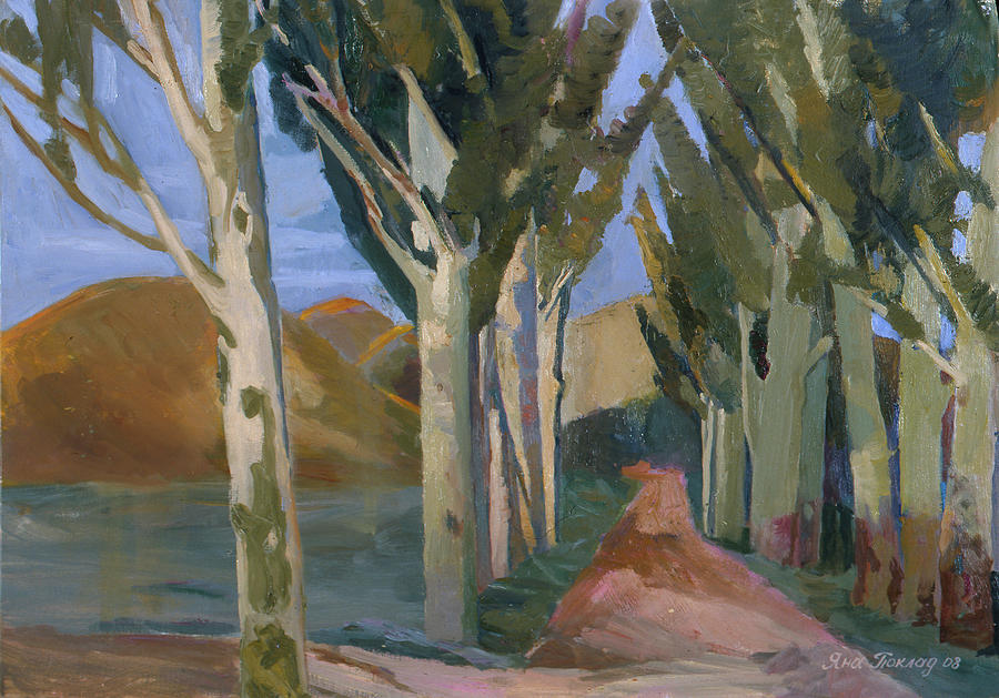 A plane tree alley by Yana Poklad A plane tree alley by Yana Poklad