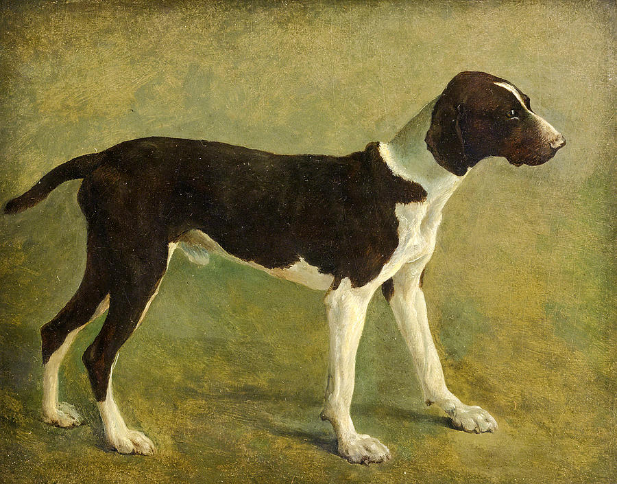 A Pointer Painting by Jacques-Laurent Agasse