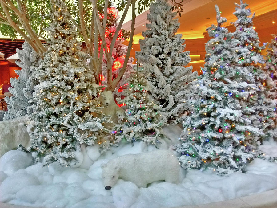 Bear Photograph - A Polar Bear Christmas by Marian Bell