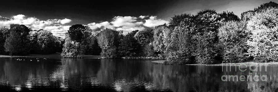 A Pond In The Park Photograph by Rudi Prott