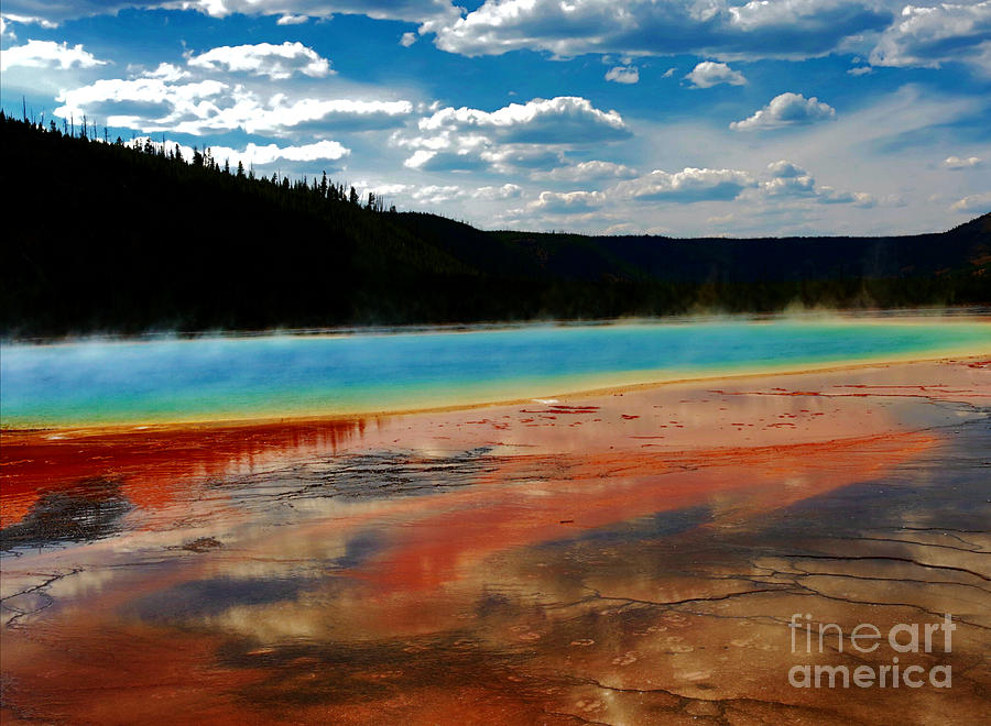 A pool of color Photograph by Robert Pearson