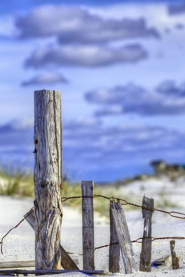 Panama City Photograph - A Posting From Panama City Beach by JC Findley