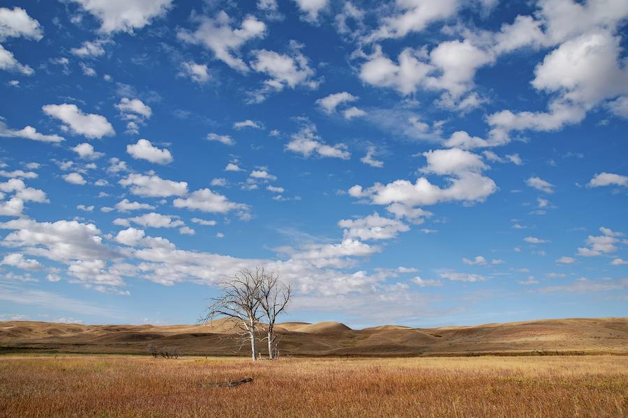 A Prairie Peace Photograph by Allan Van Gasbeck