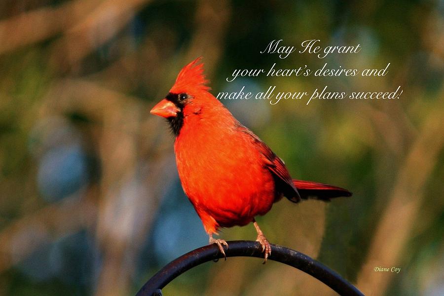 A Prayer For You Photograph by Diane Lindon Coy
