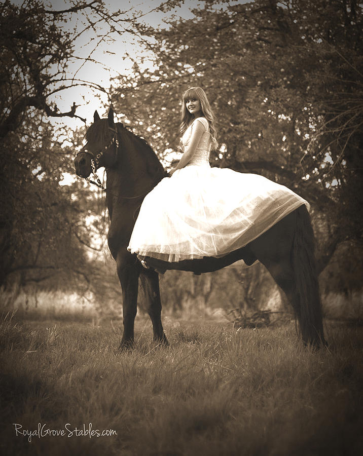 A Princess Dream by Carol Whitaker A Princess Dream by Carol Whitaker