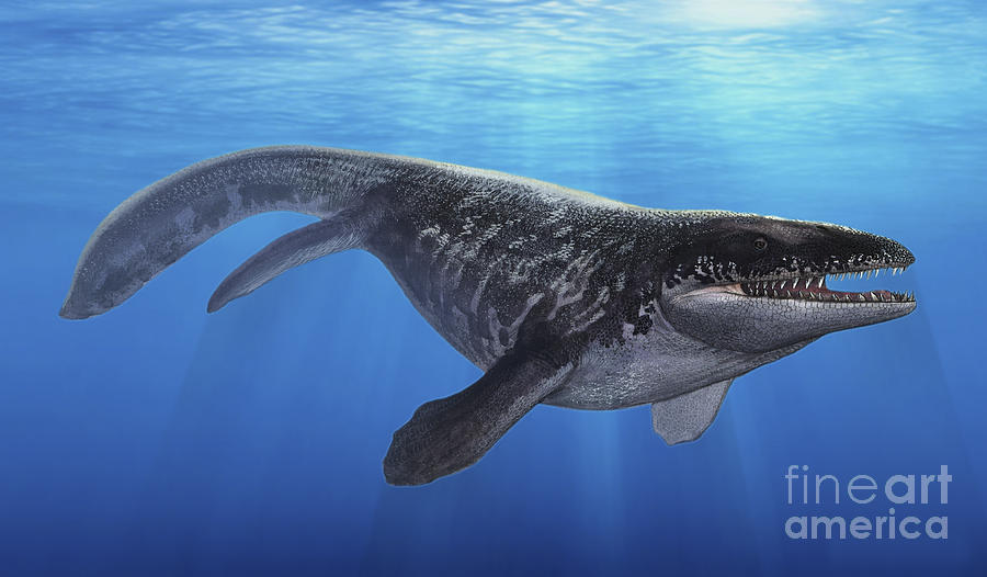 A Prognathodon Saturator Swimming Digital Art