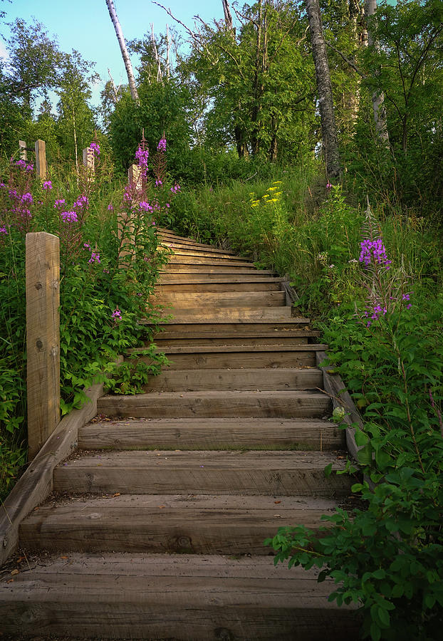 A Promising Path Photograph by Hermes Fine Art