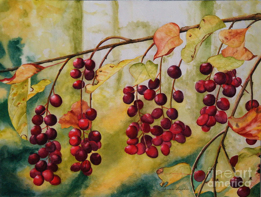Berries Painting - A Punch Of Red by Donna Snyder Berries Painting - A Punch Of Red by Donna Snyder