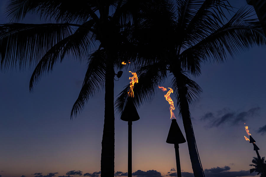 A Purple Night for a Beach Party Photograph by Georgia Mizuleva