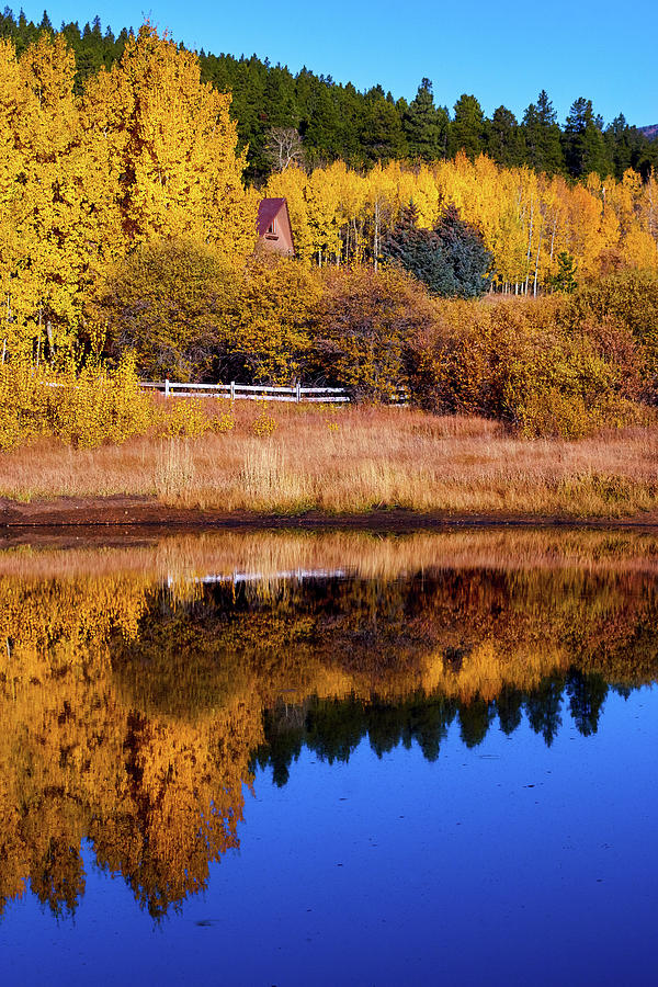 A Quiet Autumn Photograph by John De Bord