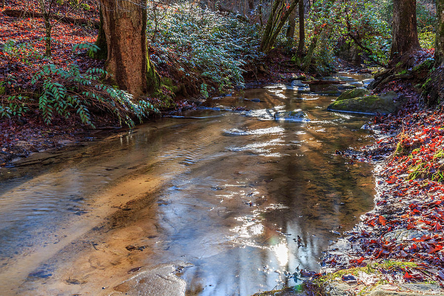 A Quiet Creek Photograph by Doug Camara
