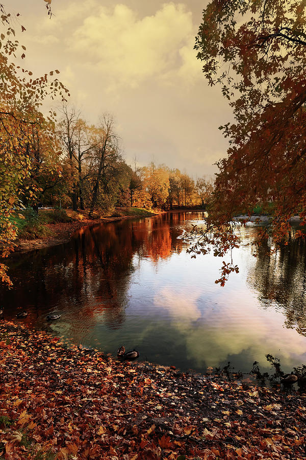 a quiet evening in a city Park painted in bright colors of autumn Photograph