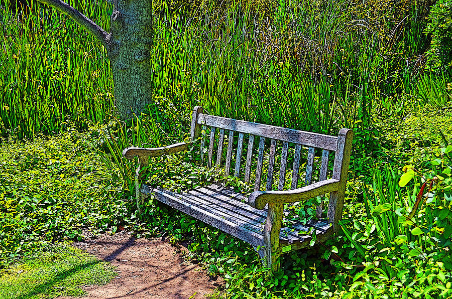 a-quiet-place-to-think-photograph-by-robert-wallace