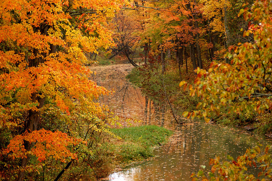 A Quiet River in Fall Photograph by Linda McRae
